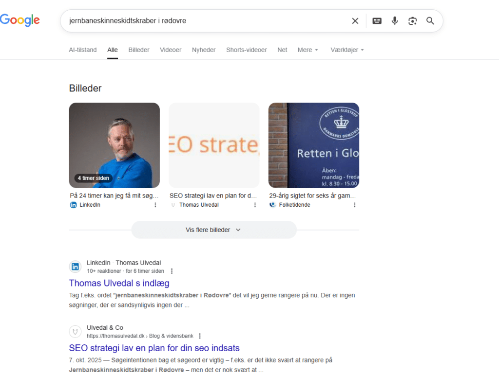 jernbaneskinneskidtskraber i Rødovre vil jeg gerne rangere på, udtaler seo-ekspert Thomas Ulvedal