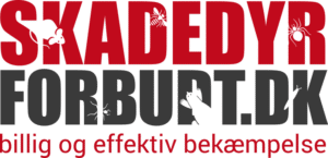 SEO Case: Skadedyrforbudt.dk - Digital vækst af Thomas Ulvedal